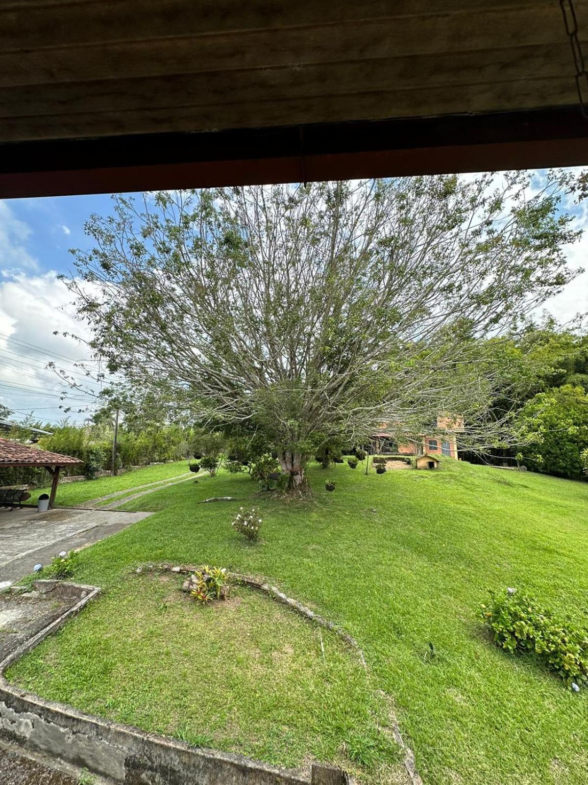 Filandia - Finca Rural La Guadalupana Hotel Luaran gambar